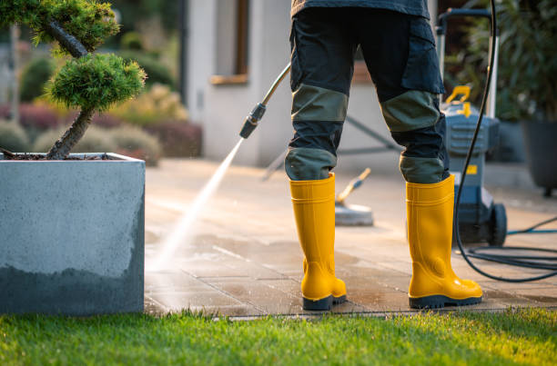 Professional Pressure Washing in West Monroe, MI